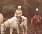 Valhalla Horse Riding Shoalhaven NSW