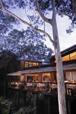Gunyah Restaurant Paperbark Camp Huskisson