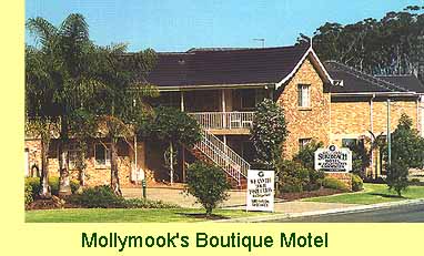 Mollymook Surfbeach Motel - Mollymook's Boutique Motel, only 100 metres from the famous Mollymook Beach and the highly rated Mollymook Beachside Golf Course